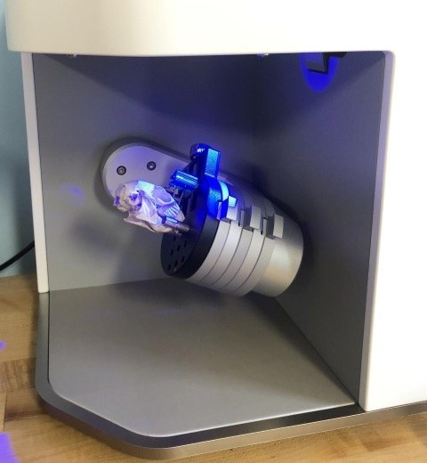 Artec Micro數(shù)分鐘完成松鼠頭骨的3D彩色亞毫米級捕獲